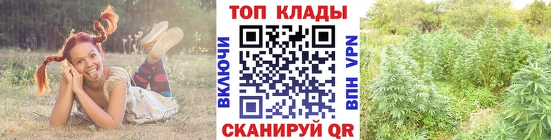 Наркошоп купить ГАШ  СОЛЬ  МЕФ  Канабис  COCAIN  Бологое