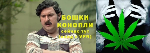амф Зеленокумск