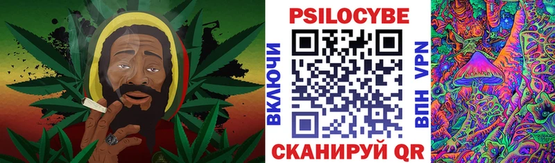 Купить  Бологое  Галлюциногенные грибы Magic Shrooms 