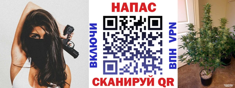 МАРИХУАНА план  Купить где  Бологое 